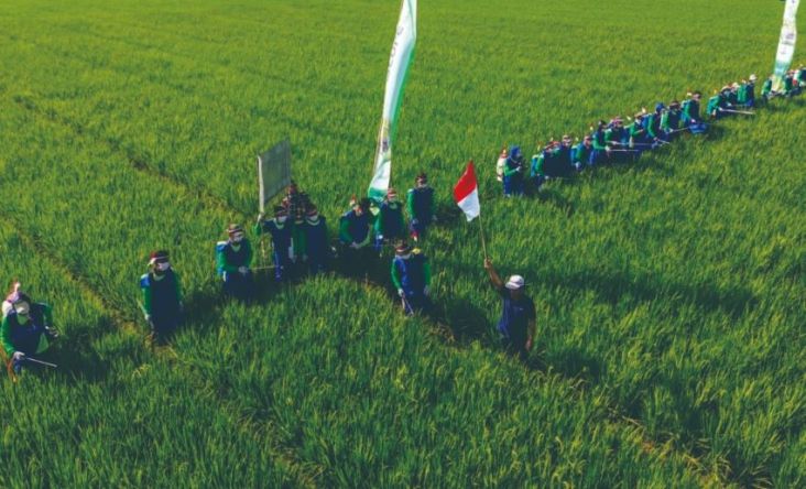 Syngenta Rayakan HUT RI ke-79 dengan Edukasi 10.000 Petani