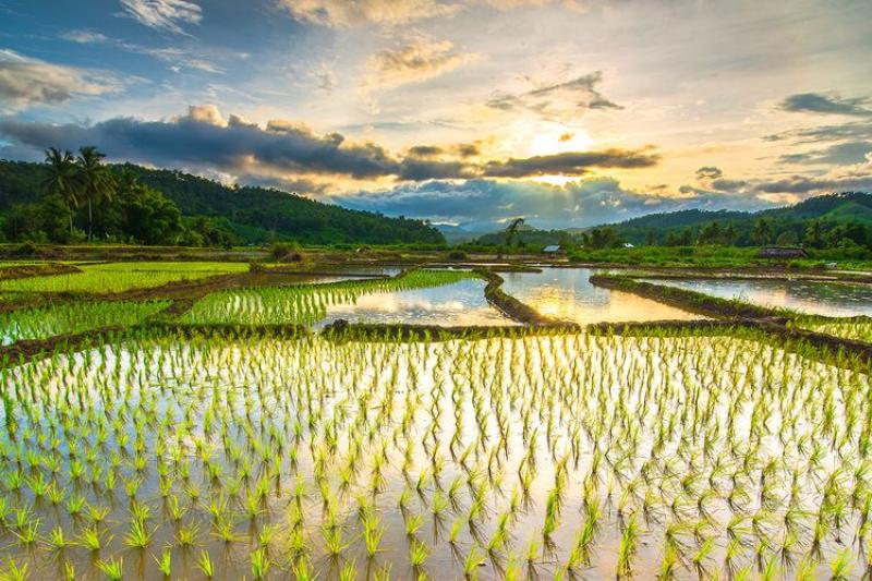 Petani Sukoharjo Kawal Suplai Air