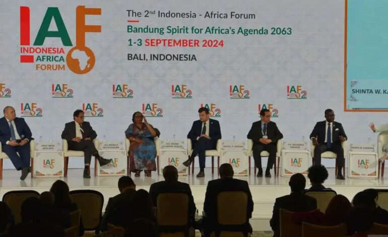UMKM: Kunci Pertumbuhan Ekonomi Indonesia dan Afrika
