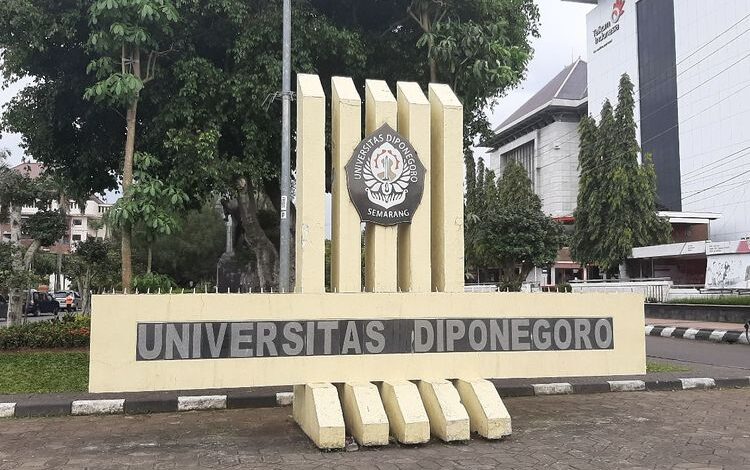 Tragis! Dokter Aulia Dipaksa Pesan 80 Nasi Kotak Setiap Hari, Tewas di Kos Akibat Tekanan Berat