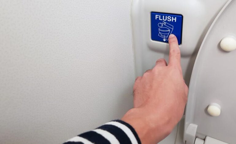 Flush di pesawat