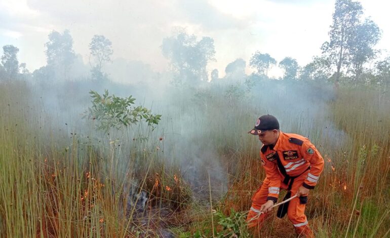 Tim Satgas Kalsel Berhasil Padamkan 790 Hektare Kebakaran Hutan dan Lahan