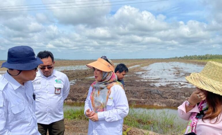 Kementerian Pertanian Dukung Petani Milenial dengan Pertanian Modern