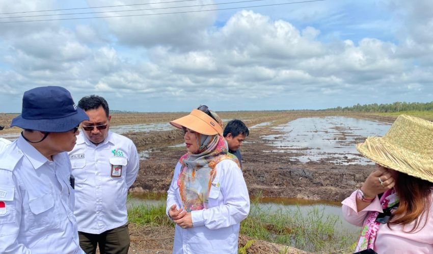 Kementerian Pertanian Dukung Petani Milenial dengan Pertanian Modern
