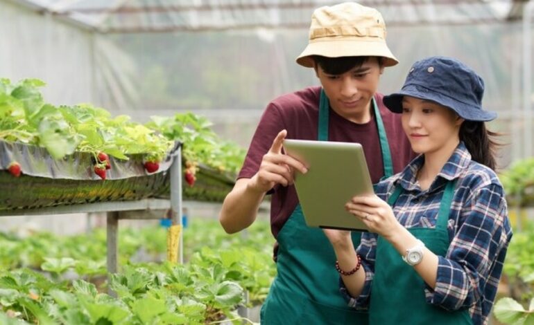 Syarat dan Cara Daftar Program Petani Milenial dari Kementan