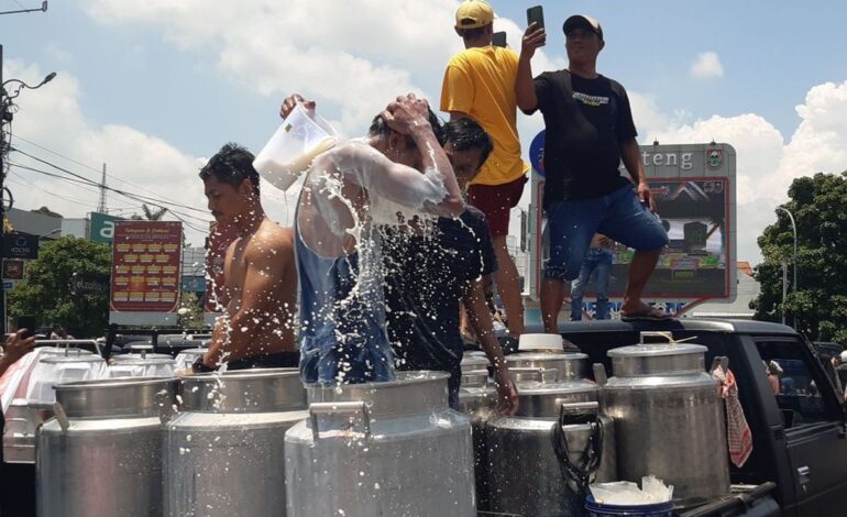 Kisruh Pajak Pengepul Susu Boyolali: Peternak Buang 50.000 Liter Susu sebagai Bentuk Protes