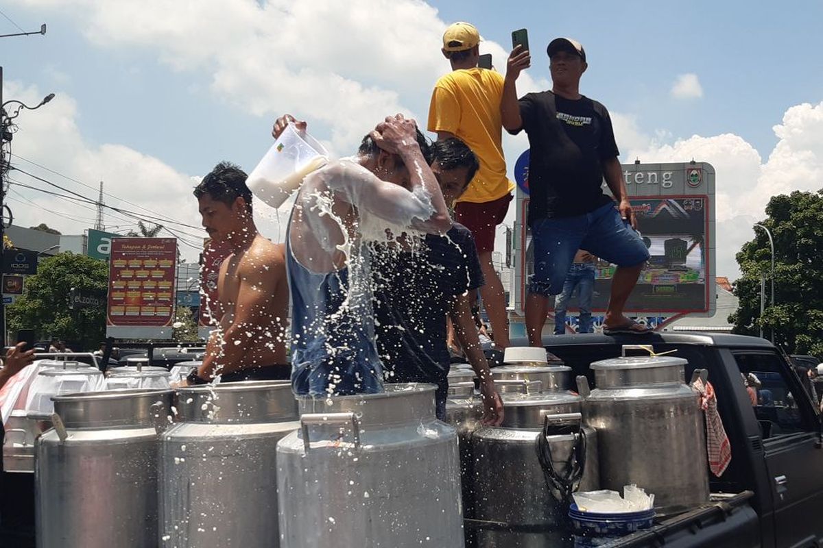 Kisruh Pajak Pengepul Susu Boyolali: Peternak Buang 50.000 Liter Susu sebagai Bentuk Protes