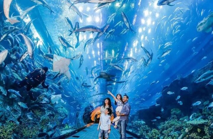 Rekomendasi Wisata Menarik di Musim Hujan, Tetap Seru dan Nyaman
