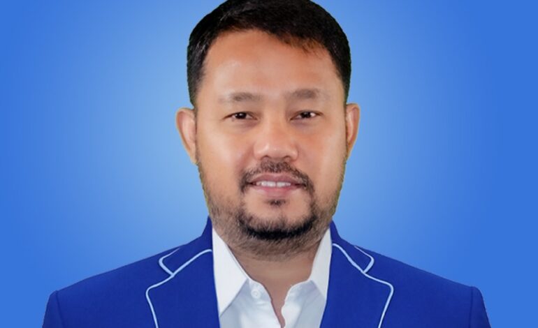 Profil Ilham Mendrofa, Kepala Badan Saksi Nasional DPP Partai Demokrat 2025-2030