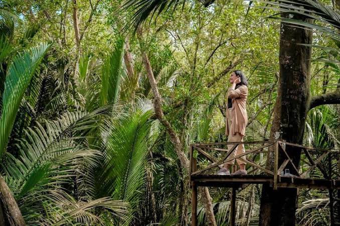 Jelajahi Pesona Desa Wisata di Kalimantan: Kearifan Lokal dan Keindahan Alam yang Tak Terlupakan